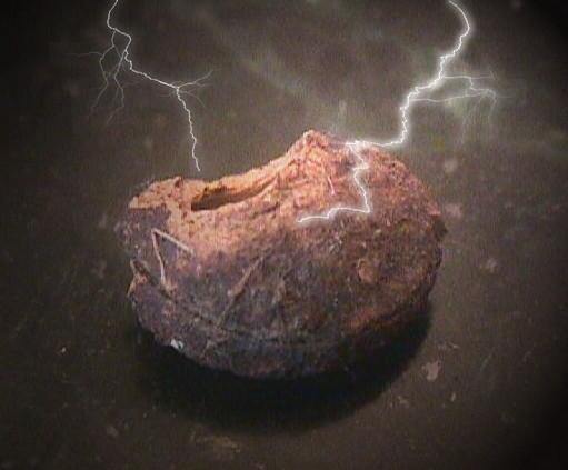 Bezoars Unusual Stones Inside Saints, Animals, and Plants - Psychic Pathways