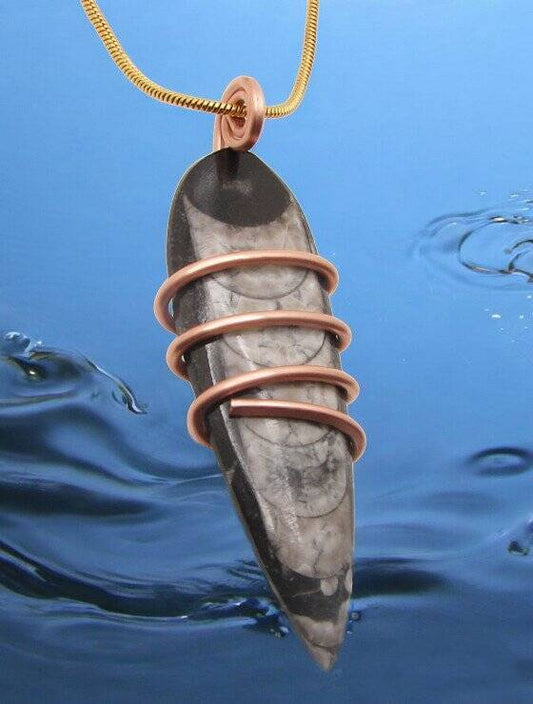 Shadow Hunters of Deep Sea Moroccan Pendant Paleozoic Orthoceras Science Gift #2