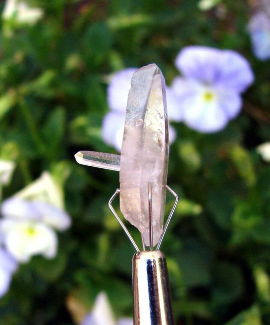 EXQUISITE DESTINY QUARTZ AMETHYST SCEPTER LA GARITA QUARTZ PENETRATOR DOLPHIN 1