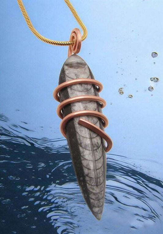 Shadow Hunters of Deep Sea Moroccan Pendant Paleozoic Orthoceras Science Gift #4