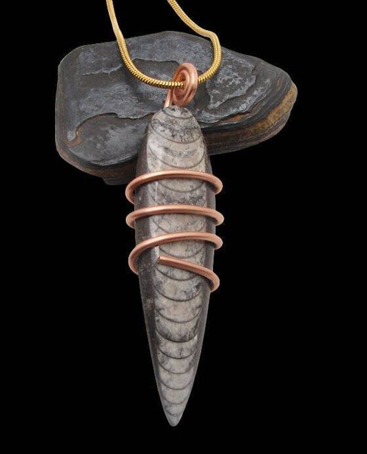 Shadow Hunters of Deep Sea Moroccan Pendant Paleozoic Orthoceras Science Gift #3