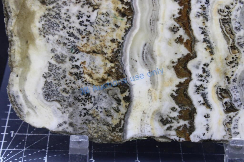 HUGH Silver Lace Onyx, Large Slab, Excellent Pattern 13.3 oz, Old Stock