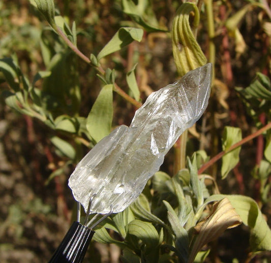 Pathways Coupon Code for 25% Off Thanksgiving Day