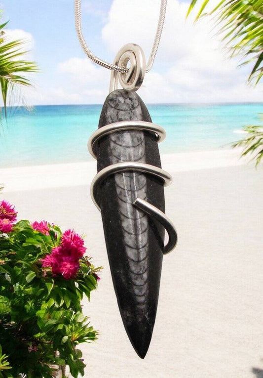 Shadow Hunters Deep Sea Moroccan Pendant Paleozoic Orthoceras Science Gift #11