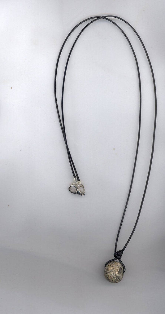 Stegodon Dinosaur Fossil Necklace Pendant