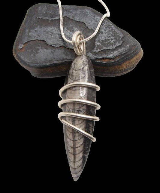 Shadow Hunters of Deep Sea Moroccan Pendant Paleozoic Orthoceras Science Gift #1