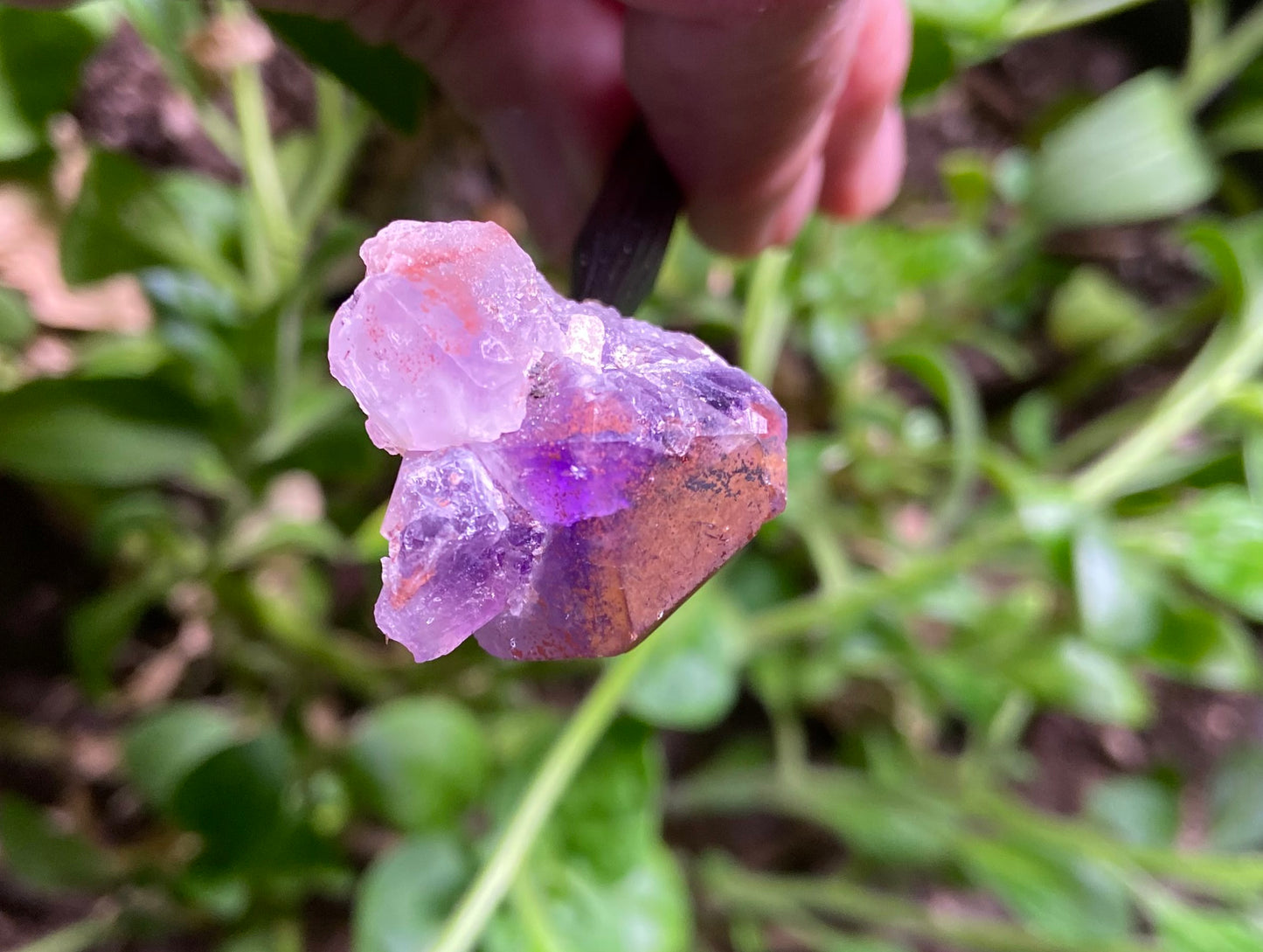 BOGO Reading - Two Readings Within a Six Month Period - A Great Follow-up