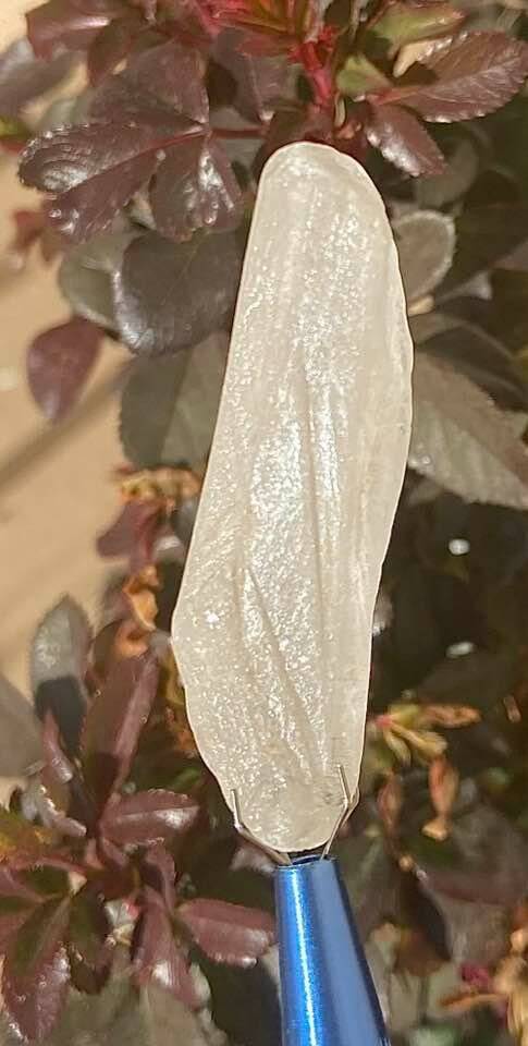 LARGE FROSTED LEO CRYSTAL ETCHED PREDICTION CRYSTAL MULTIPLE LONG STRIATIONS