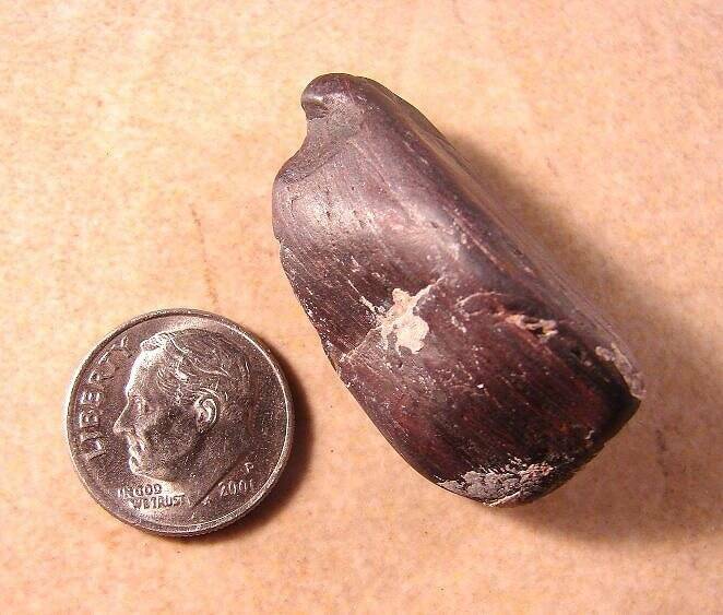 NATURAL GENESIS STONE JASPER BANDED IRON GROUNDING ROOT CHAKRA #231