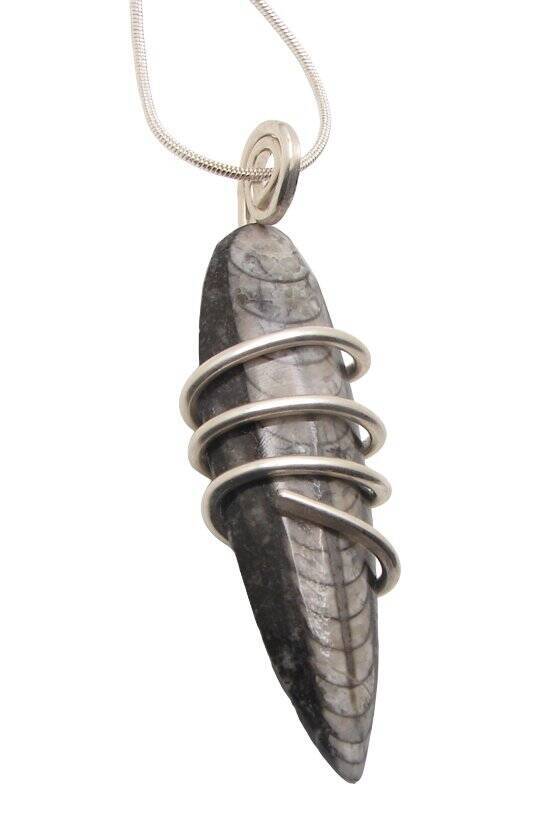 Shadow Hunters of Deep Sea Moroccan Pendant Paleozoic Orthoceras Science Gift #1