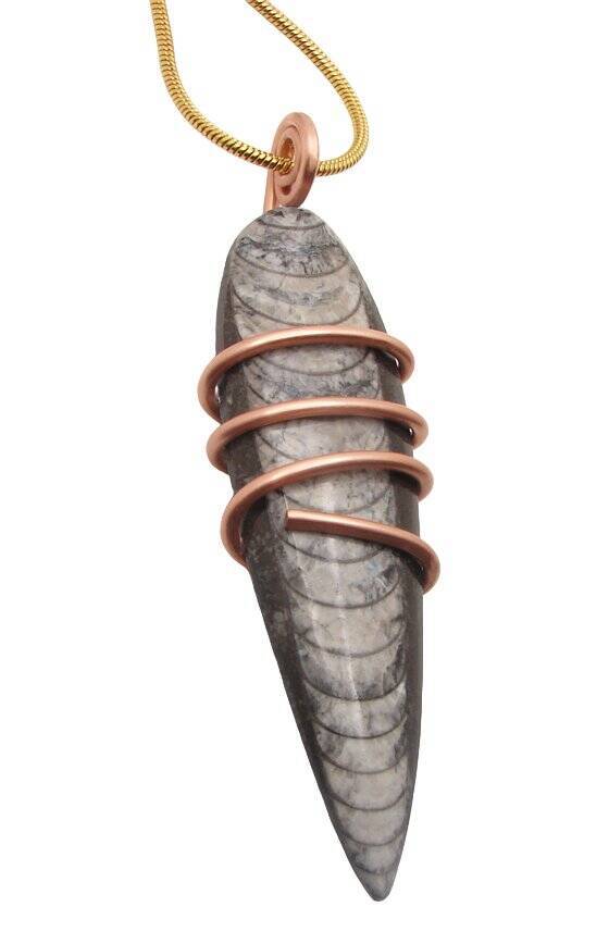 Shadow Hunters of Deep Sea Moroccan Pendant Paleozoic Orthoceras Science Gift #3
