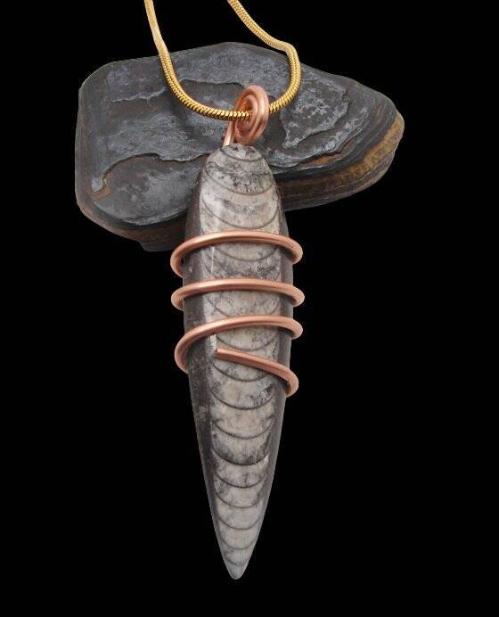 Shadow Hunters of Deep Sea Moroccan Pendant Paleozoic Orthoceras Science Gift #3