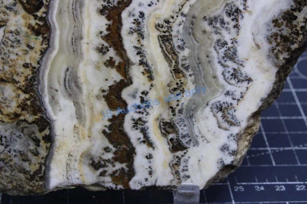 HUGH Silver Lace Onyx, Large Slab, Excellent Pattern 13.3 oz, Old Stock