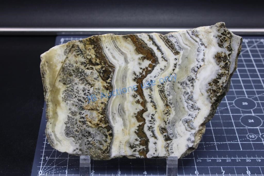 HUGH Silver Lace Onyx, Large Slab, Excellent Pattern 13.3 oz, Old Stock