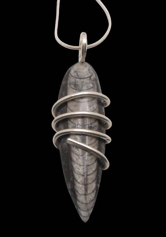 Shadow Hunters of Deep Sea Moroccan Pendant Paleozoic Orthoceras Science Gift #1