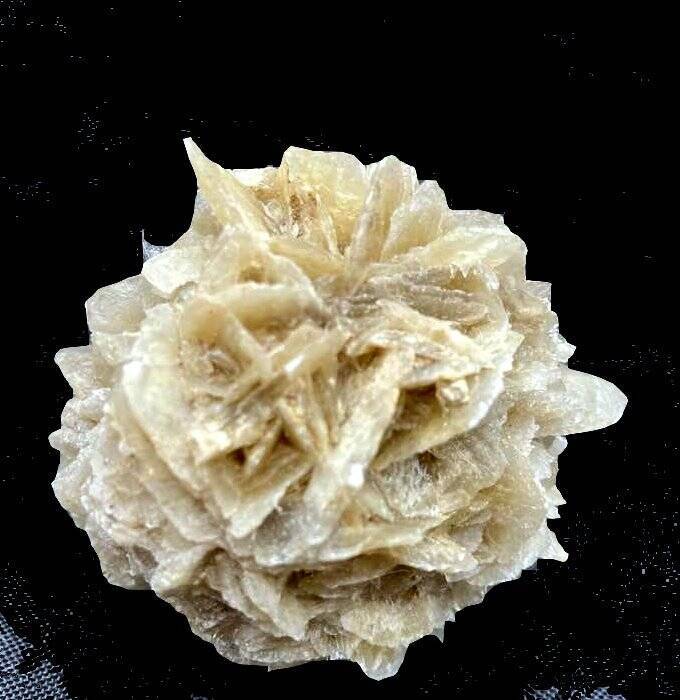 Large Desert "Rose" aka Sand Selenite- St. David, Arizona,Original Tag FANTASTIC
