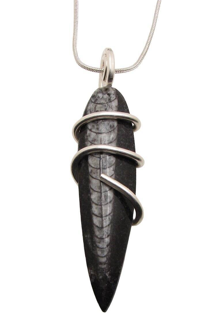 Shadow Hunters Deep Sea Moroccan Pendant Paleozoic Orthoceras Science Gift #11